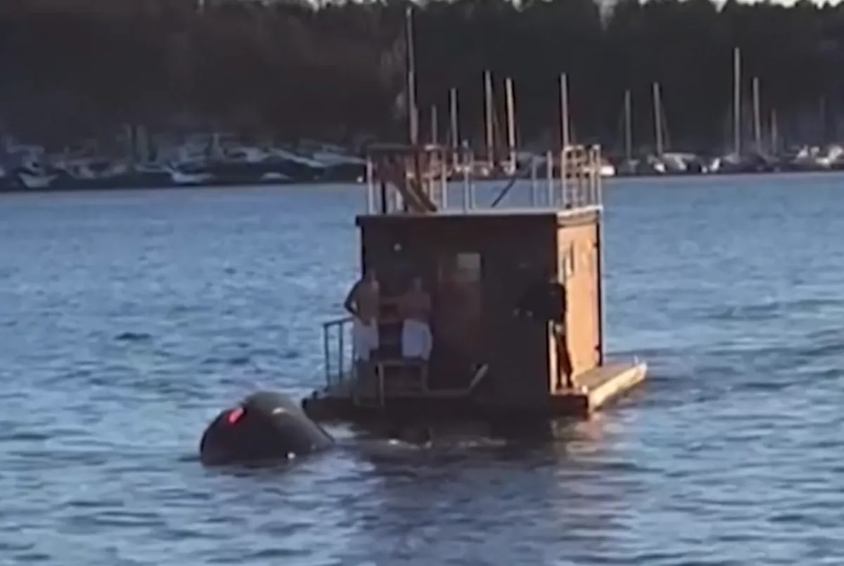 Sauna Boat Recues Tesla Pax